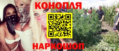 СК Малгобек