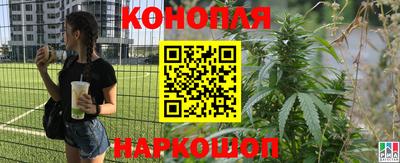 молекула духа Малоярославец